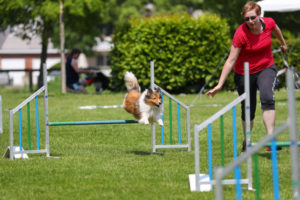 Samu_Speed_2019_1