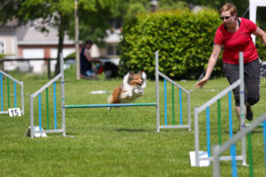 Samu_Speed_2019_2